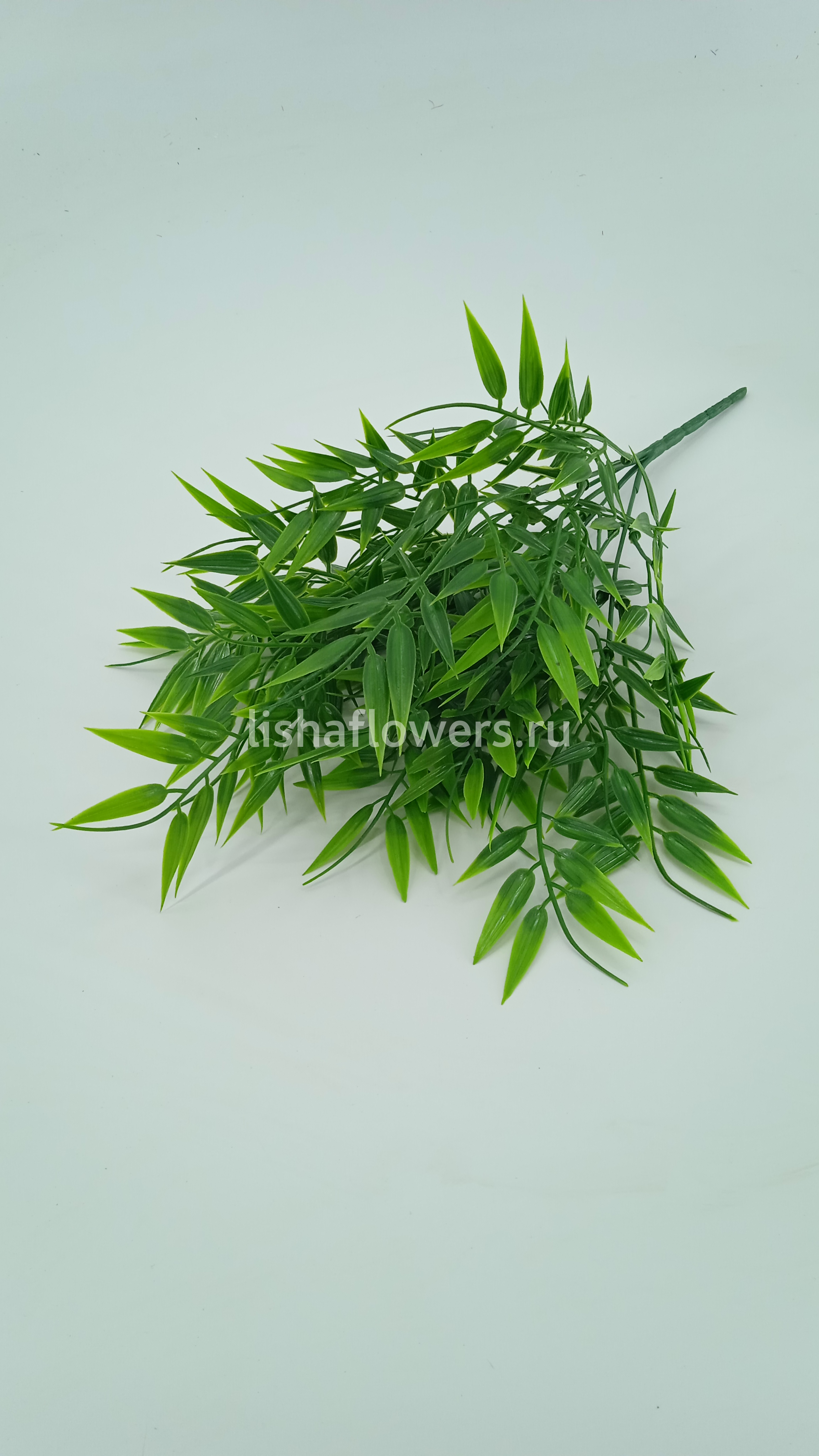 Бамбук цветной 5в 40см.Арт.F23-4